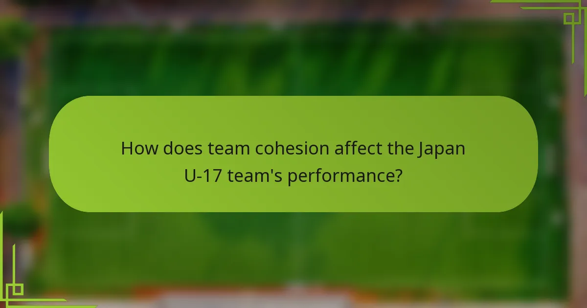 How does team cohesion affect the Japan U-17 team's performance?