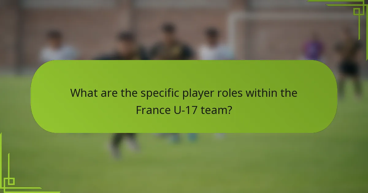 What are the specific player roles within the France U-17 team?